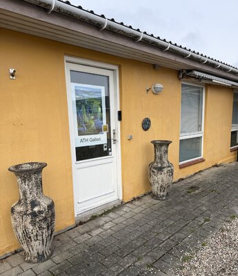 Anette Thorup Hansen in de studio: Frontdoor of my Gallery