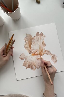 Ana Stan im Studio: Iris Flower Commission