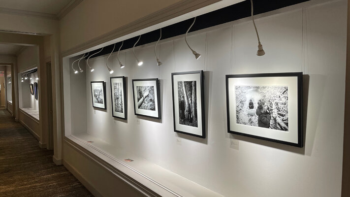 Laurie Swope nello studio
