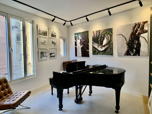 Jie Wang im Studio: Atelier de Jie WANG (salle de concert)