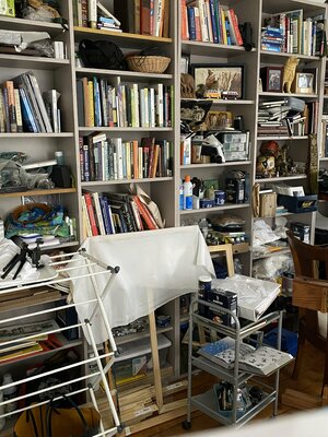 Linnea Pergola nello studio