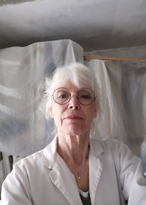 Laurence DUC su Singulart