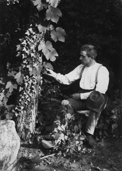 Karl Blossfeldt