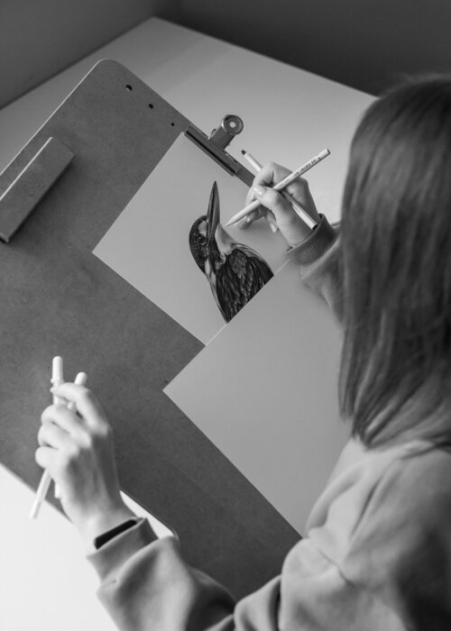 Daria Maier en Singulart