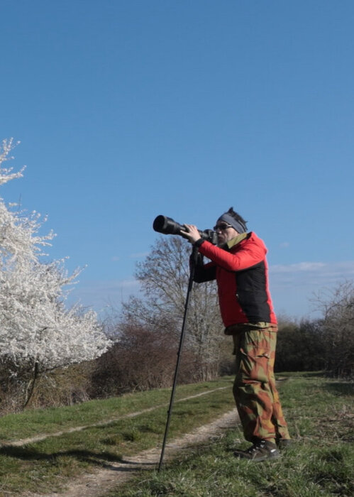Frederic Bauer auf Singulart