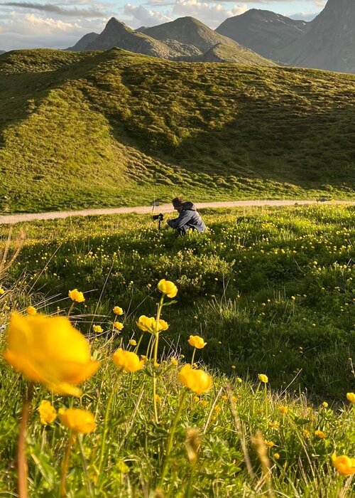 Andrea Sagui auf Singulart