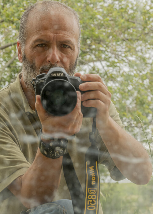 Carlo Zoppi su Singulart
