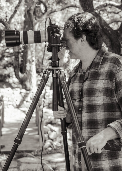 Gary Moss auf Singulart