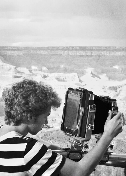 Marc Jordi Fischer su Singulart