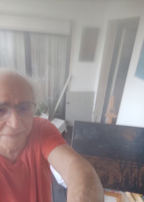Zoubir farsi su Singulart