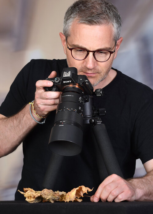 Sebastian Fink op Singulart