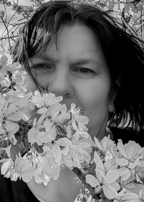 Camelia Dröge auf Singulart