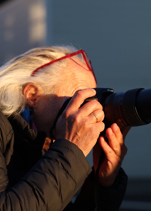 Amadeus Pichler su Singulart