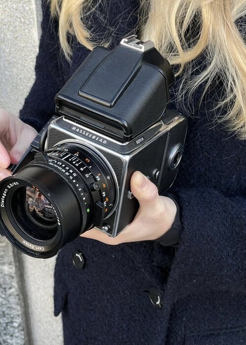 Pia Bienfait on Singulart