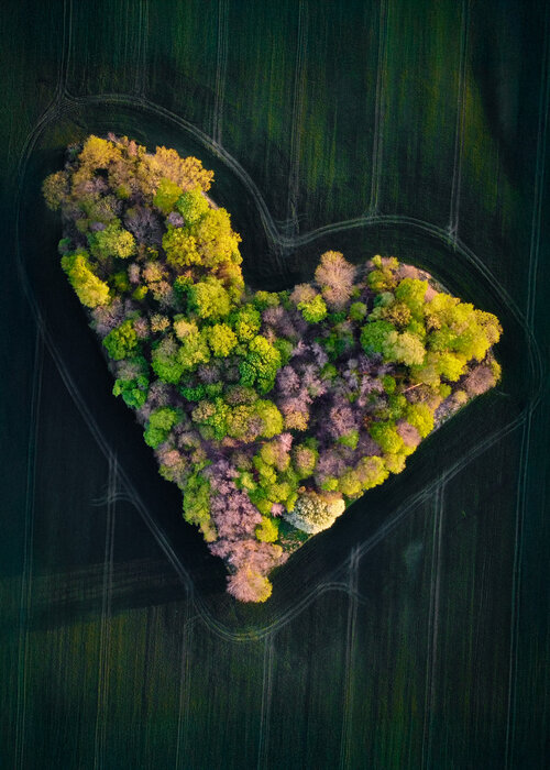 Misty Ridge Studio auf Singulart