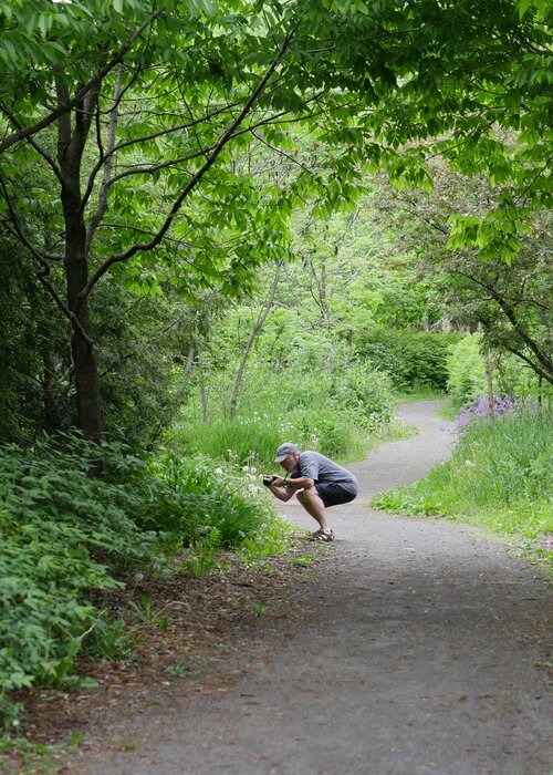 Variations von Pierre Cyr (2020): Fotografie Digital auf Metall - Singulart