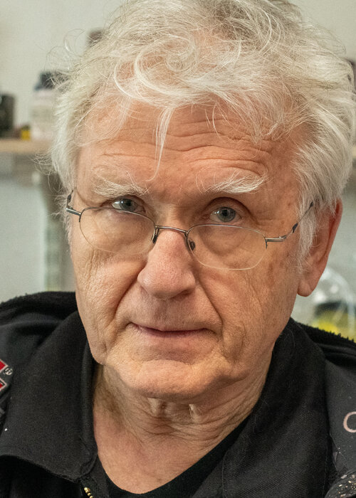 Dieter Laue op Singulart