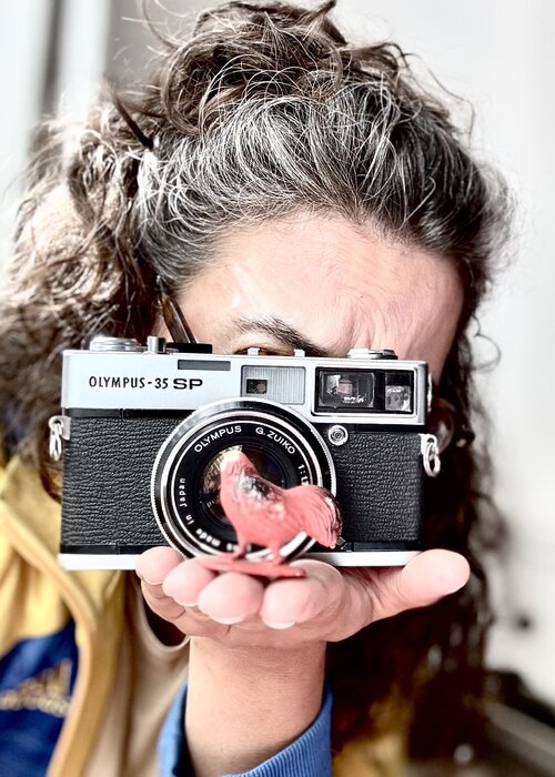 Berangere Goossens on Singulart