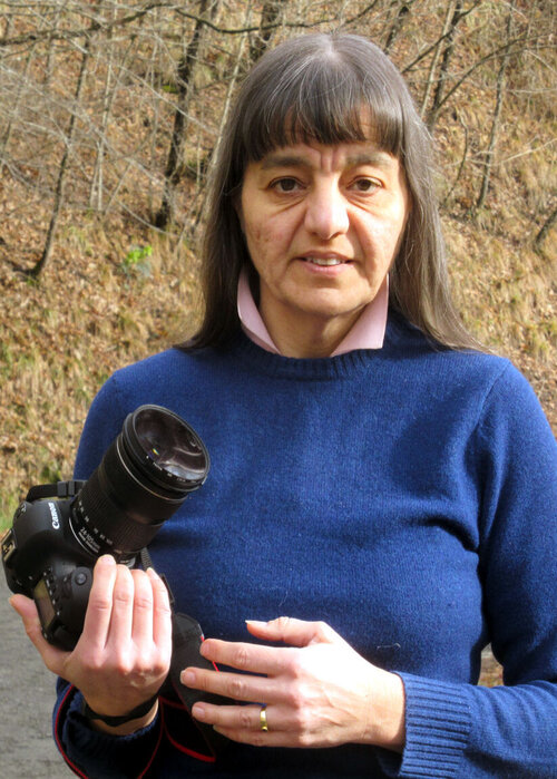 Paola Chiappini on Singulart