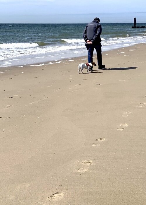 Ton Voortman auf Singulart