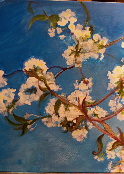 Monica Cecchini op Singulart