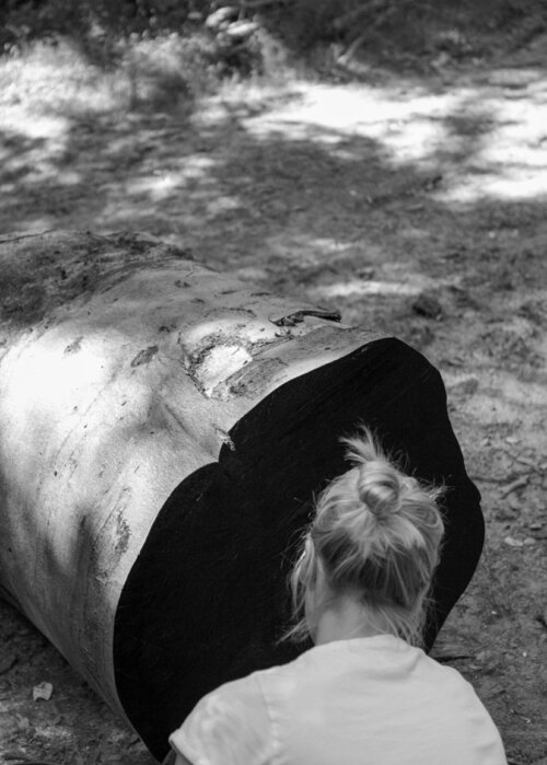 Lea Jazbec su Singulart