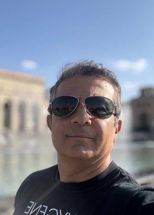 Reza Davatgar op Singulart