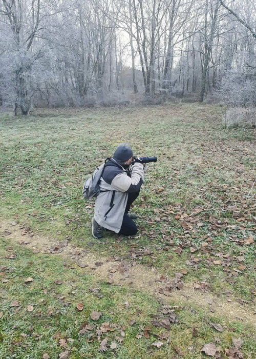 PATRICIA BALITRAND su Singulart