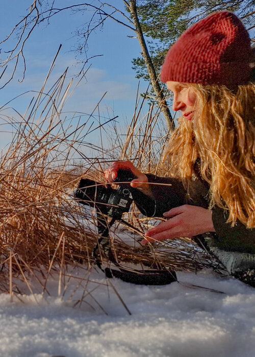 Heli Lehtinen on Singulart
