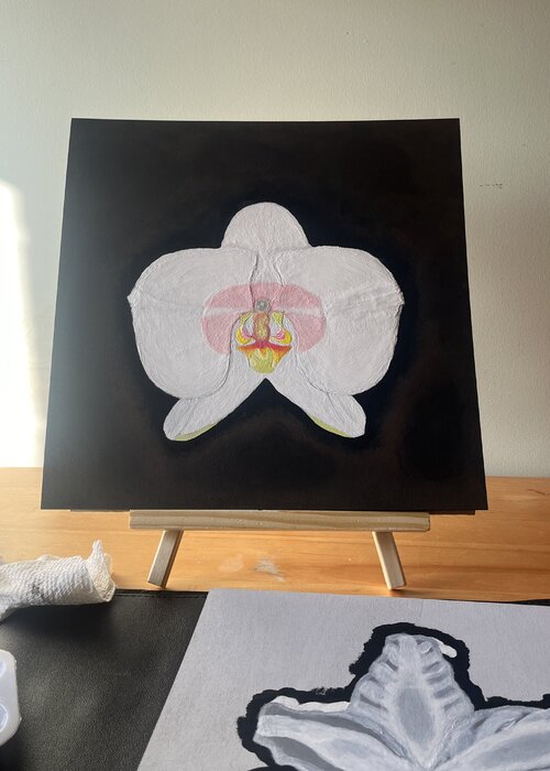 Sophonie Pierre su Singulart