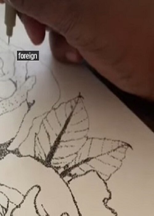 Lydia Watson aka Watsart™, Watsart LLC auf Singulart