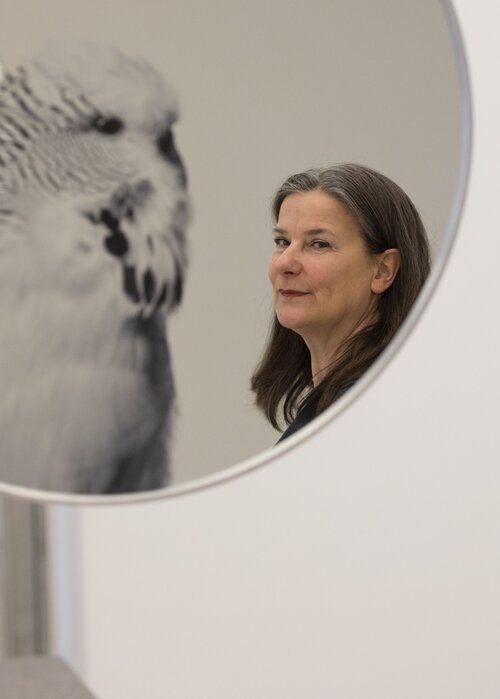 Gabriele Rothemann on Singulart