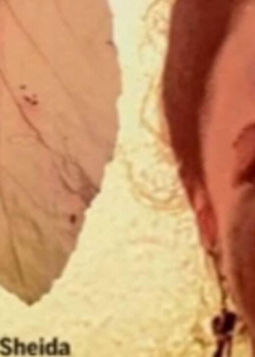 Sheida Mehr en Singulart