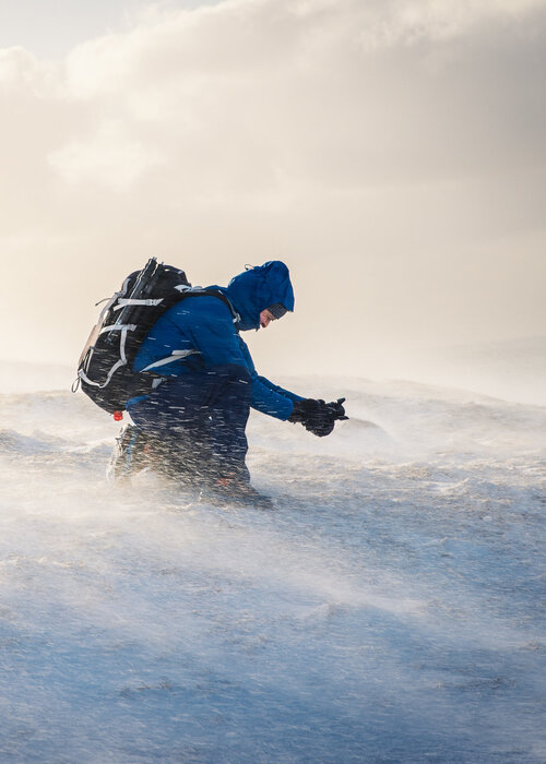 Michael Schaake on Singulart