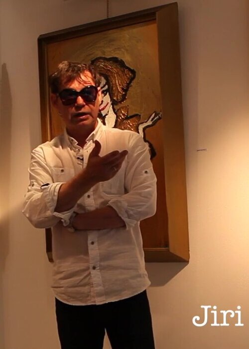 JIri Hanibal en Singulart