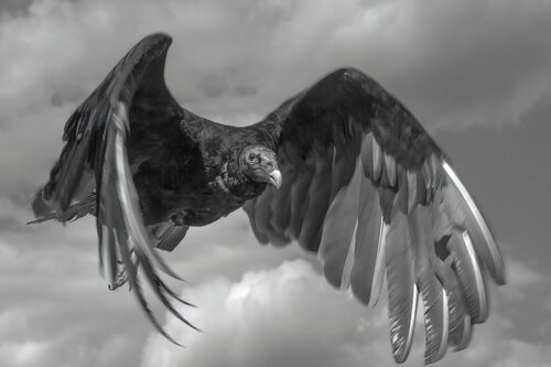 Erik Stenbeck on Singulart