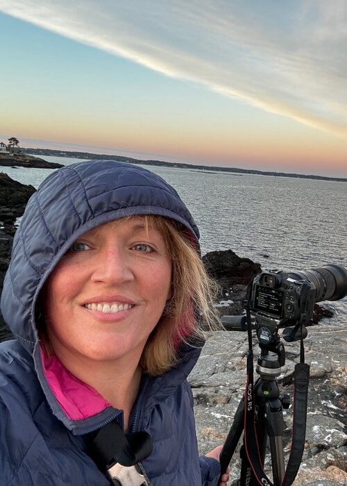 Laurie Swope on Singulart