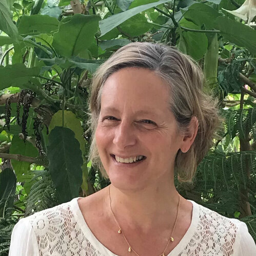 Segui Zohar Flax su Singulart