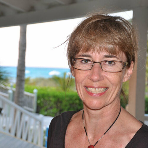 Sigue a Dominique Desmeules en Singulart