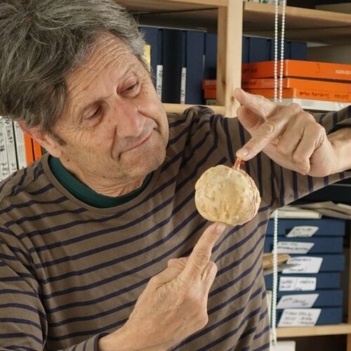 Volg Michel Massi op Singulart