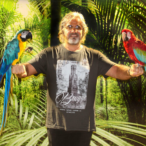 Folgen Sie Steven Lamb auf Singulart