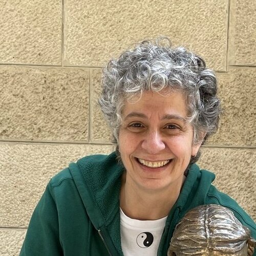 Folgen Sie Lamia Fakhoury auf Singulart