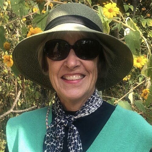 Segui Elizabeth Rickert su Singulart
