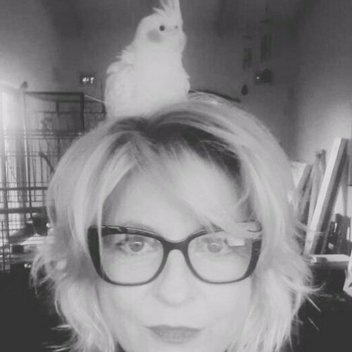 Volg Kirsty May Hall op Singulart