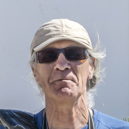 Follow Anando Arnold on Singulart