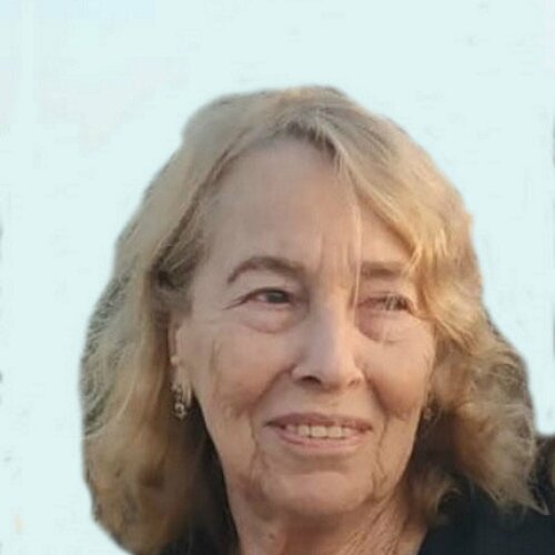 Folgen Sie nima novik auf Singulart