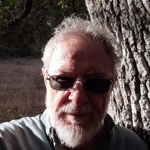 Suivez Ángel Alcalde sur Singulart