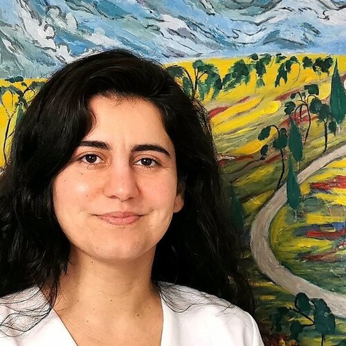 Follow Gulschan Rokzad on Singulart