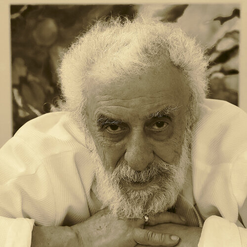 Segui LEZER MANOLE su Singulart