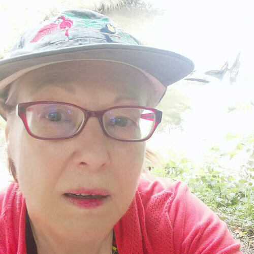 Volg Vicki Corley op Singulart